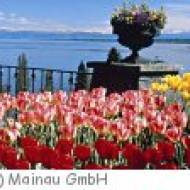 Insel Mainau