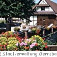 Waldmuseum in Gernsbach