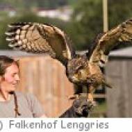Falkenhof Lenggries