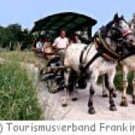 Franking Bauerngolf Pferdekutsche Bauerngolf in Franking