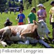 Kindergeburtstag am Falkenhof Lenggries
