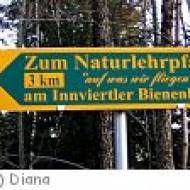 Eggelsberg Lehrpfad Lehrpfad in Eggelsberg "Auf was wir fliegen"