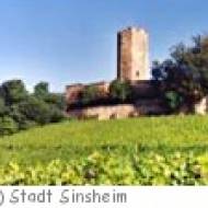 Burg Steinsberg in Sinsheim