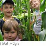 Ravensburg Gut Hügle Maislabyrinth Maislabyrinth Gut Hügle
