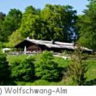 Großgmain Wolfschwang Alm Wolfschwang-Alm