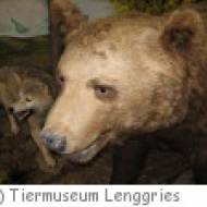 Tiermuseum Lenggries