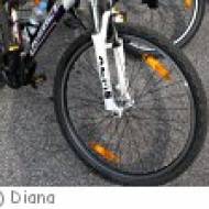 Schliersee Radtour Radtour um den Schliersee