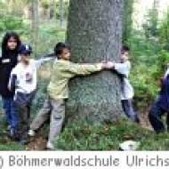 Waldtheater in der Böhmerwaldschule