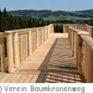 Kindergeburtstag am Baumkronenweg