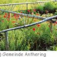 Anthering Kräutergarten Kräutergarten in Anthering