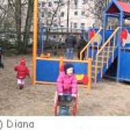 Köln Zoo Kindergeburtstag Zoo Köln