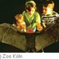 Köln Zoo Nacht Zoo Köln