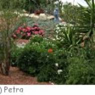 Botanischer Garten Bielefeld Botanischer Garten Bielefeld