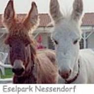 Eselpark Nessendorf