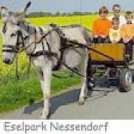 Kutschfahrt im Eselpark Nessendorf
