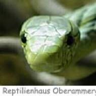 Reptilienhaus Oberammergau ü Reptilienhaus Oberammergau