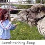 Kameltrekking Farm ü Kameltrekking Seeg im Allgäu