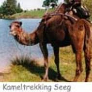 Kameltrekking ü Kameltrekking Seeg im Allgäu