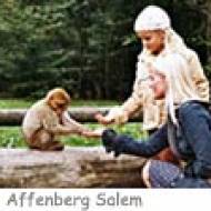 Affenberg Salem