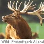 Allensbach Wildpark ü Wildpark Allensbach