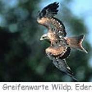 Greifenwarte Wildpark Edersee