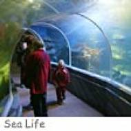 Sea Life Berlin ü Sea Life Berlin
