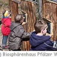 Biosphärenhaus Erlebnispfad ü Erlebnispfad vom Biosphärenhaus Pfälzer Wald / Nordvogesen