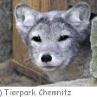 Tierpark Chemnitz ü Tierpark Chemnitz