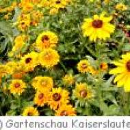 Gartenschau Kaiserslautern ü Gartenschau Kaiserslautern