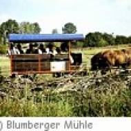 Blumberger Mühle