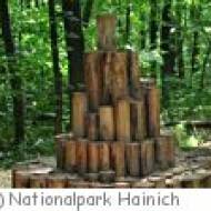 Naturpfad Thiemsburg ü Naturpfad Thiemsburg im Nationalpark Hainich