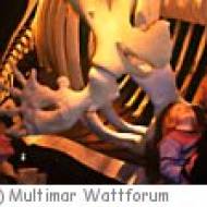 Walhaus Multimar Wattforum ü Walhaus im Multimar Wattforum
