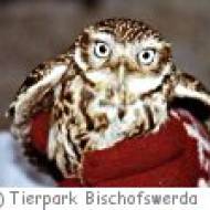 Tierpark Bischofswerda
