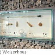 Bergschau im Walserhaus Bergschau im Walserhaus