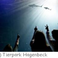 Tropen-Aquarium Hagenbeck in Hamburg Tropen-Aquarium Hagenbeck in Hamburg