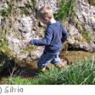 Naturlehrpfad Sulzberg Naturlehrpfad Sulzberg