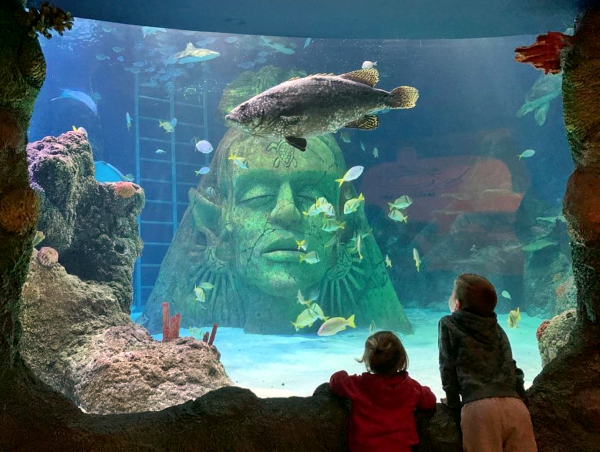 Sea Life Speyer Mamilade Ausflugsziele