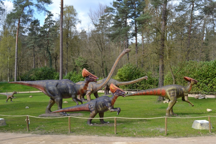 Bilder Von Dino Zoo Metelen