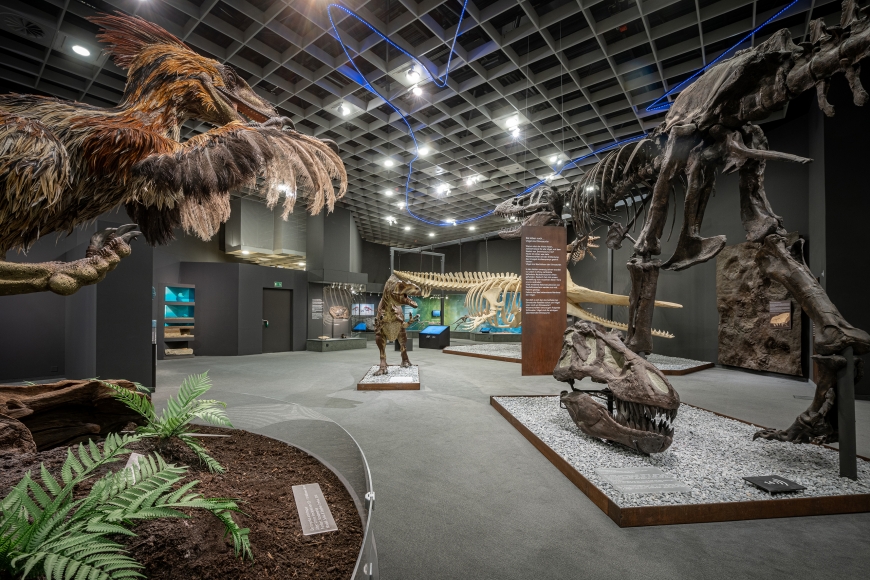 dinosaurier naturkunde museum muenster ausflugstipp mamilade