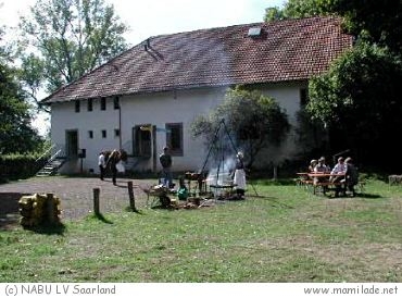 Saarbrücken Urwald