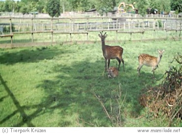 Tierpark Krüzen