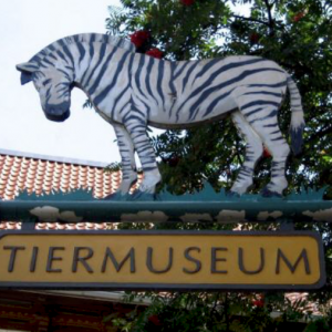 Tiermuseum Alfeld (Leine)
