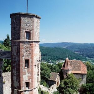 burg dilsberg ausflugstipp mamilade