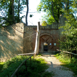burgruine hornstein bingen ausflugstipp mamilade