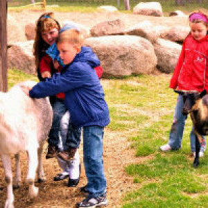 © Buschmann & Winkelmann_Streichelwiese auf dem Spargel- und Erlebnishof Klaistow Kindergeburtstag auf dem Spargelhof in Klaistow