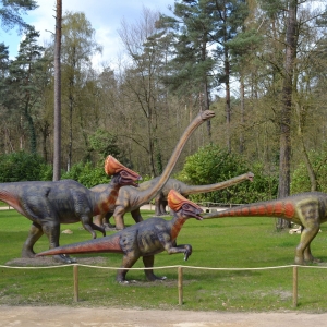 Dino Zoo Metelen