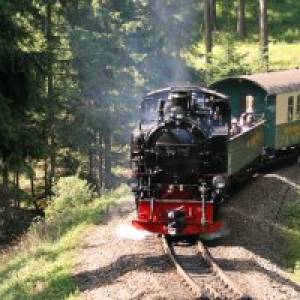 Fahrt mit der Fichtelbergbahn (c) SDG