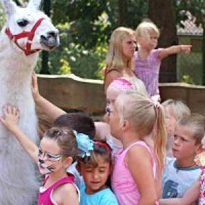 (c) Joe Bodemanns Filmtierpark Eschede filmtierpark eschede ausflugstipp mamilade