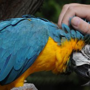 (c) Vogelpark Heiligenkirchen Kindergeburtstag im Vogelpark Heiligenkirchen