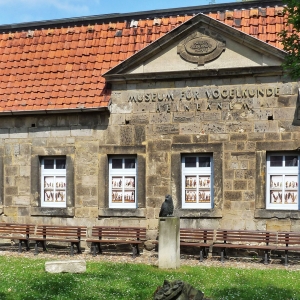 Museum Heineanum in Halberstadt